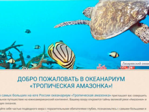 Создадим сайт и запустим рекламу за копейки и % от продаж (Акция)