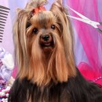 Зарабатывайте с нашей партнерской программой в категории Морепродукты