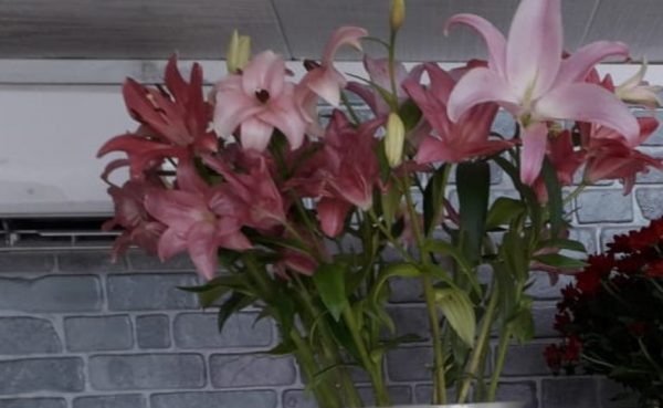 5 тюльпанов в букете, ТОП продаж 5 тюльпанов в букете, ТОП продаж