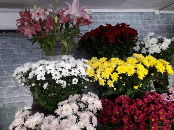 5 тюльпанов в букете, ТОП продаж 5 тюльпанов в букете, ТОП продаж