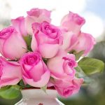 pink-roses-2191636_640 доставка букета роз