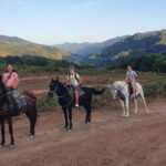 konnie-progulki10 Конный клуб