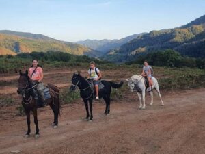 Катание на лошадях Катание на лошадях