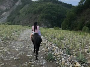 Катание на лошадях Катание на лошадях