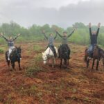 konnie-progulki29 Конный клуб