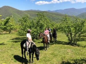 Катание на лошадях Катание на лошадях