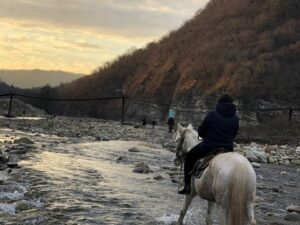 Катание на лошадях Катание на лошадях