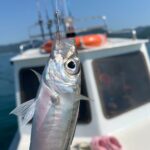 photo_2021-07-17_11-19-54 Рыбалка на катере