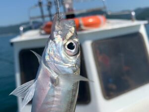 Рыбалка в море Рыбалка в море