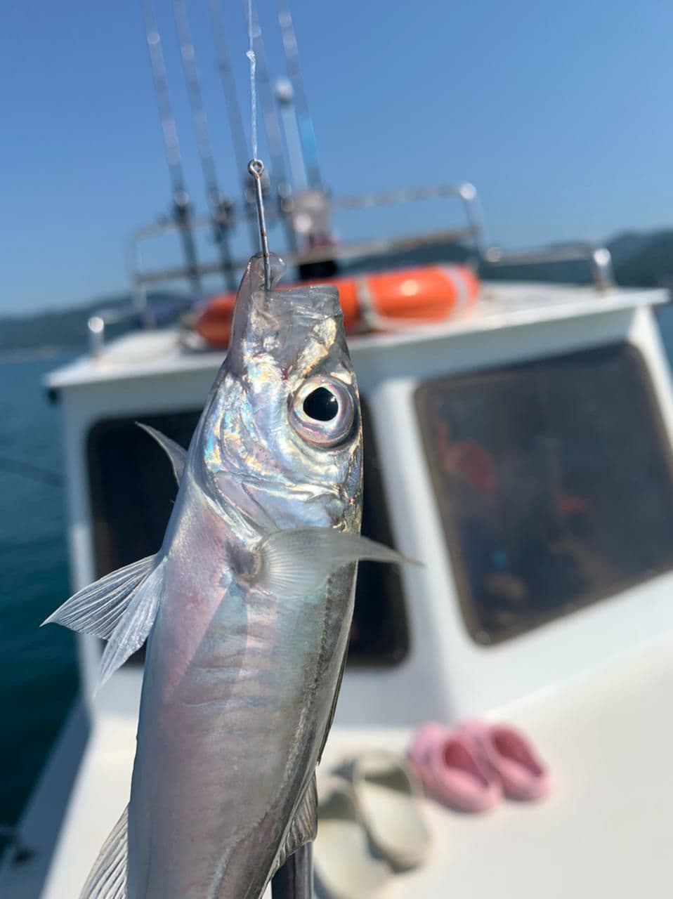 photo_2021-07-17_11-19-54 Рыбалка на катере