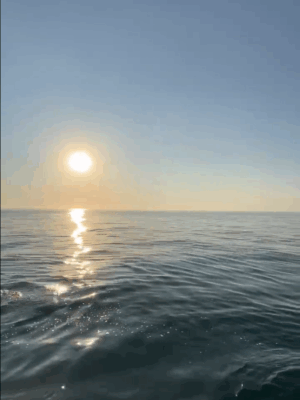 Встречаем рассвет в открытом море. Морская прогулка