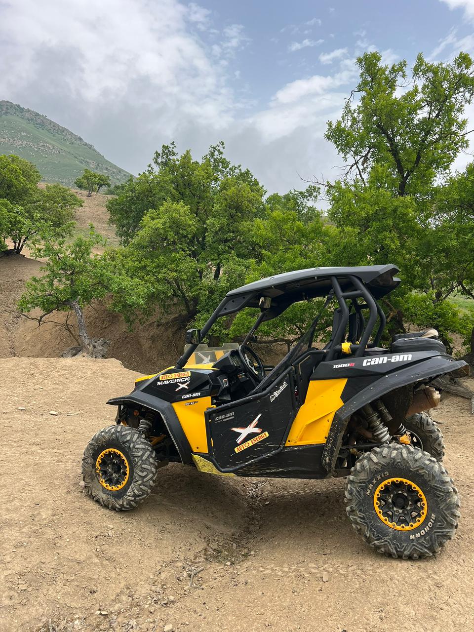 Прокат двухместного багги Yamaha Rhino 700